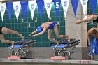 Swimming & Diving vs Babson  Swimming & Diving vs Babson College. - Photo by Keith Nordstrom : Wheaton, Swimming